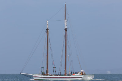 g9/22/16522/3/155831759.WPdSsbh5.jpg
