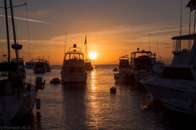 Day 5, Sail back to Newport Beach, 12.Jul.2014