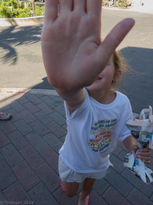 L1070815 Stop the Paparazzi 