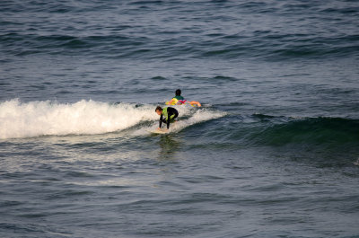 _DSC8579 copy.jpg