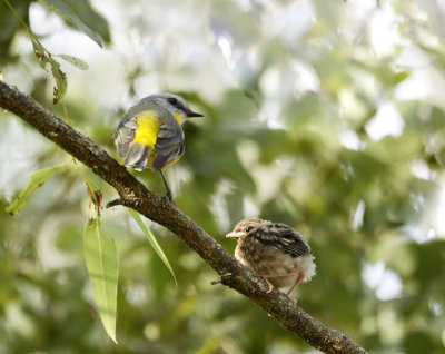 parent and baby