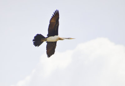 _DSC3946 copy.jpg