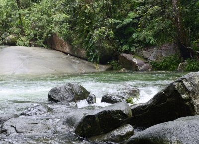 _DSC5737.jpg 1.jpg