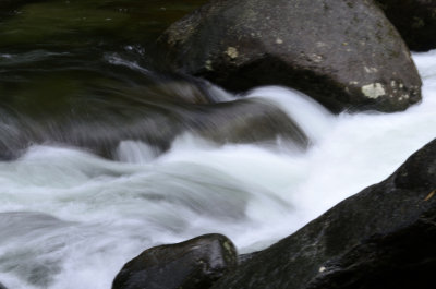 _DSC5734 copy.jpg