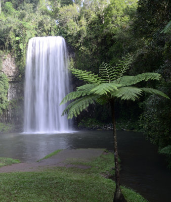waterfalls FNQ