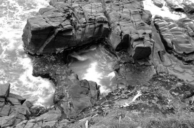 _DSC7501_1 copy.jpg