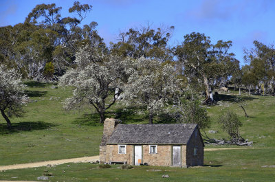 Jindabyne and the snowy mountains