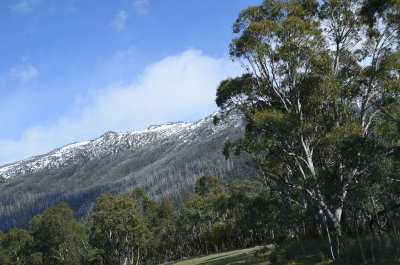 Jindabyne and the snowy mountains
