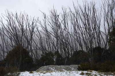 Jindabyne and the snowy mountains