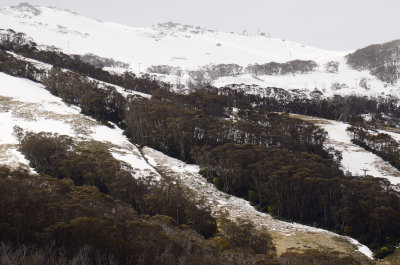 Jindabyne and the snowy mountains