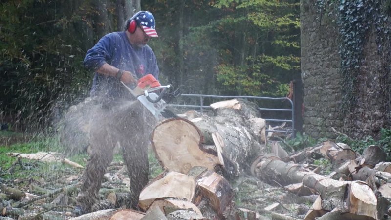 forestry & equipment
