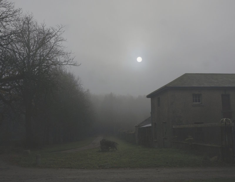 Winter Mist Sun, Gurteen, Waterford, Ireland