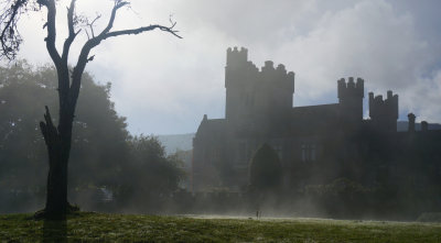 Mist, Gurteen Castle, Waterford, Ireland