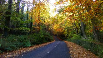 autumn road Waterford, Ireland