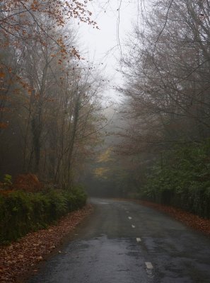 Mist Road, Gurteen, Waterford, Ireland