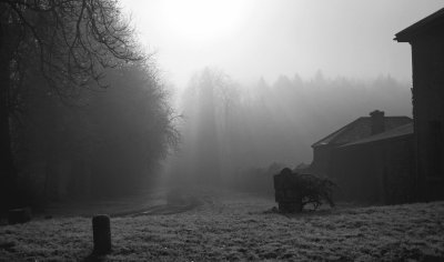 Misty Day, Gurteen, Waterford, Ireland