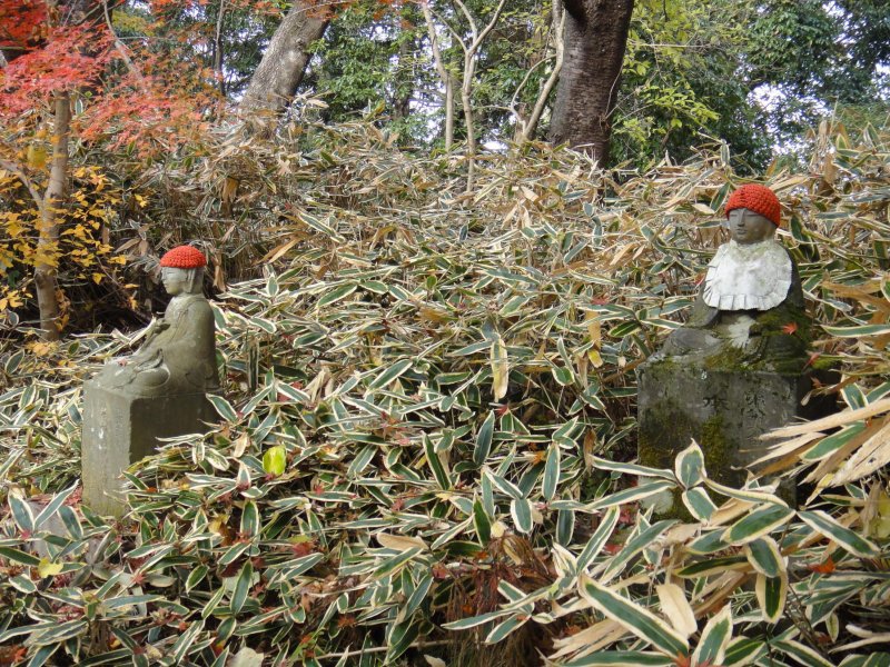 DSC03496.JPG