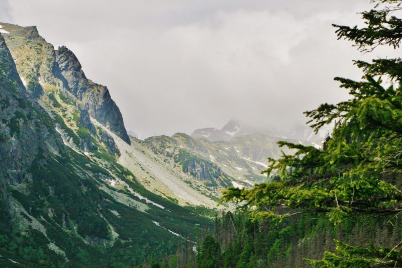 2014-06-14 04.43.24.jpg