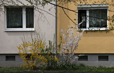 Omvända färger, Berlin
