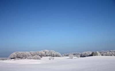 Rimfrost vid Knickarp, nordost om Ystad