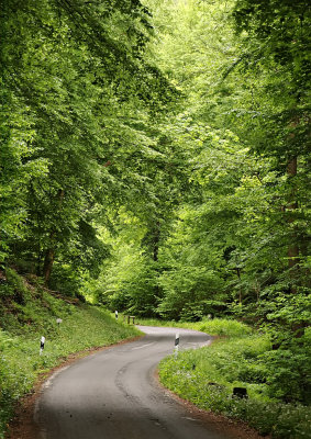 Lummig grnska nra Neckarhuserhof, Tyskland