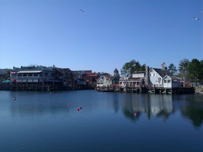 IMG_20111224_115004.jpg