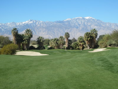 Desert_Willow_05.JPG