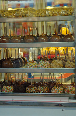 fair05.jpg