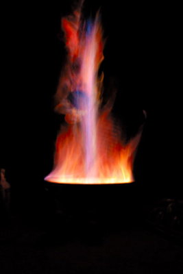 DSC_4560.jpg