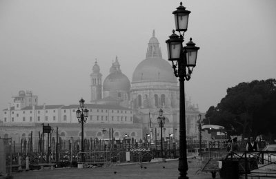 DSC_6335.jpg