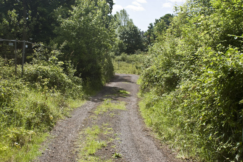 Laundry Hill