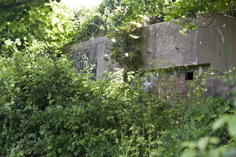 Under ground bunker, that I hadn't found in 1965
