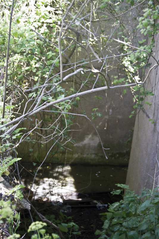 Under ground bunker, that I hadn't found in 1965