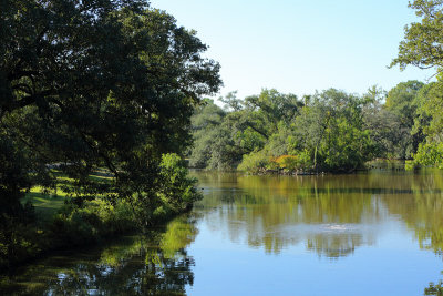 Waterfowl at Audubon Park