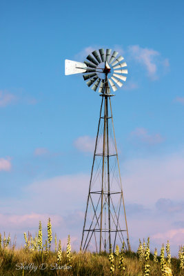 Buffalo Lake NWR Windmill, Umbarger, TX. 