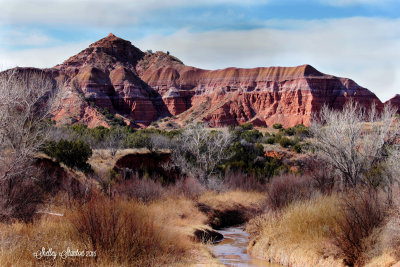 The Beauty Of Palo Duro Canyon State Park