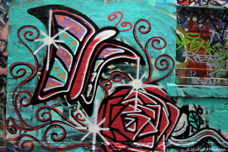 Butterfly and rose