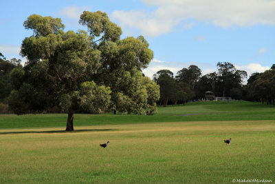 Park
