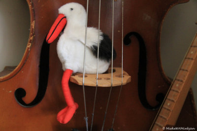 Stork