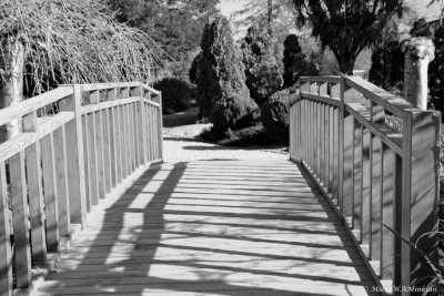 Shadows on the bridge