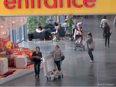 Shopping