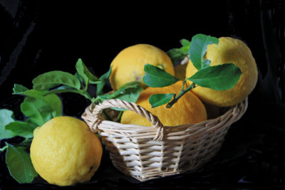 Still life with lemons