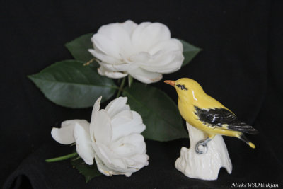 Yellow bird with roses