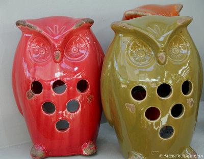 Red owl