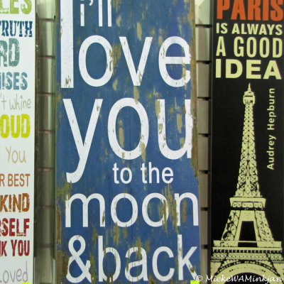 I love you till the moon and back