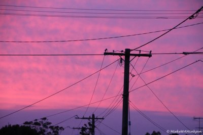 Electricity lines 
