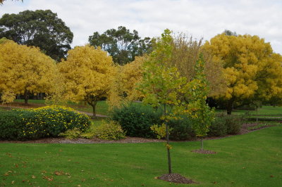 Composition in yellow