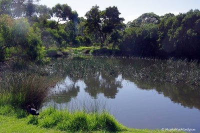 Breaside Park