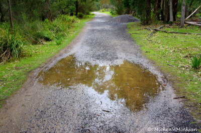 A puddle