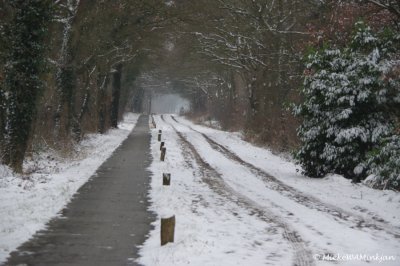 Country road